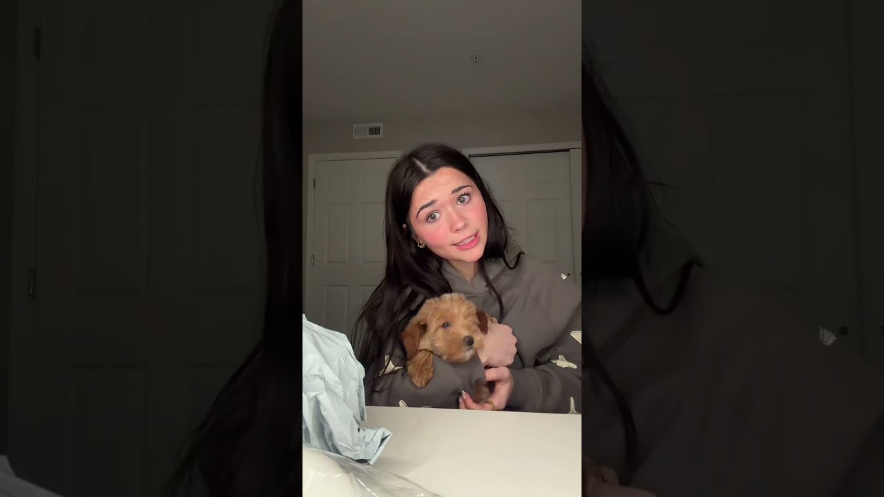 I actually literally got the best squishies!! This was SOO successful omg #squishies #puppies