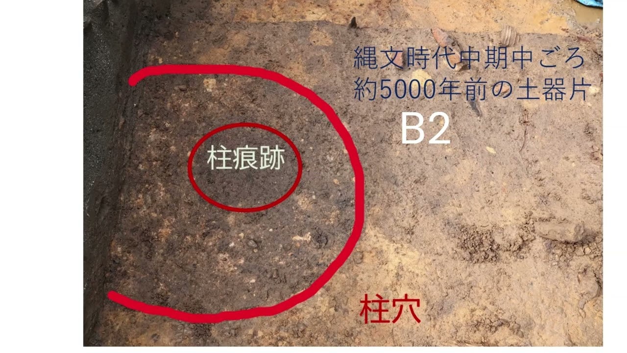 縄文遺跡群2026 青森県青森市 三内丸山遺跡 最新情報