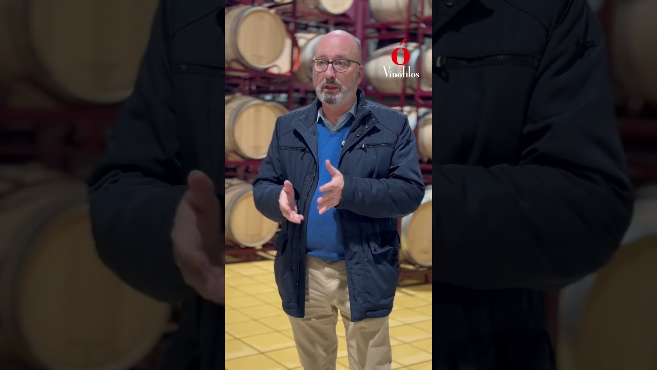 Miguel Ángel Gil explica el proyecto de Bodegas El Nido - Gil Family Estates - Vinófilos