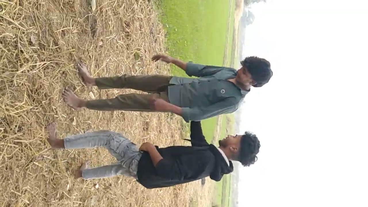 Vlog flip