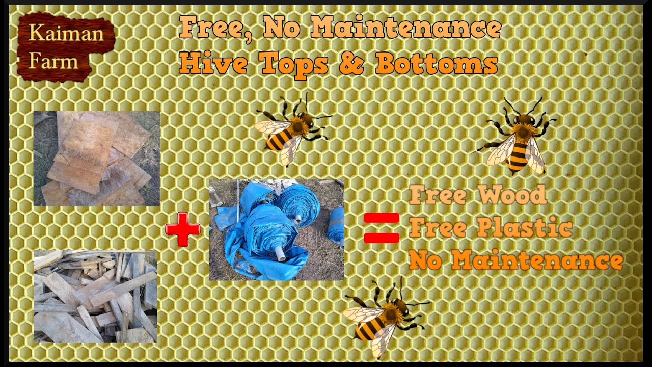 Free, No-Maintenance Hive Tops and Bottoms