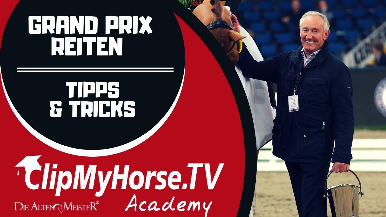 Grand Prix reiten - wichtige Grundlagen - Klaus Balkenhol | Tipps & Tricks | LEHRGANG |