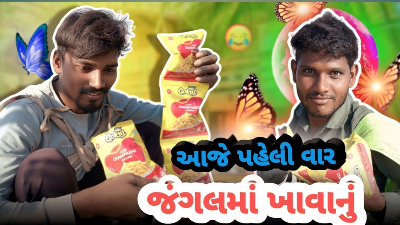 આજે પહેલી વાર !!  જંગલમાં ખાવાનું  !!  Family video Vlogs !! Van Bhojan Video !! family Vlogs video 