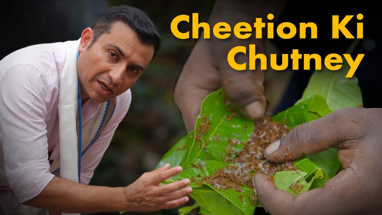 This Tribe Makes Chutney From Ants! | Jhargram lost heritage part 2