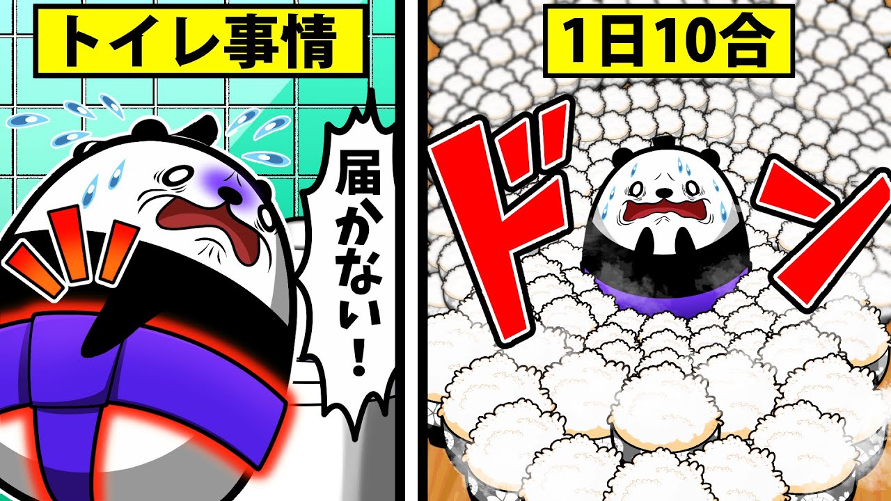 【アニメ】力士になるとどうなるのか？
