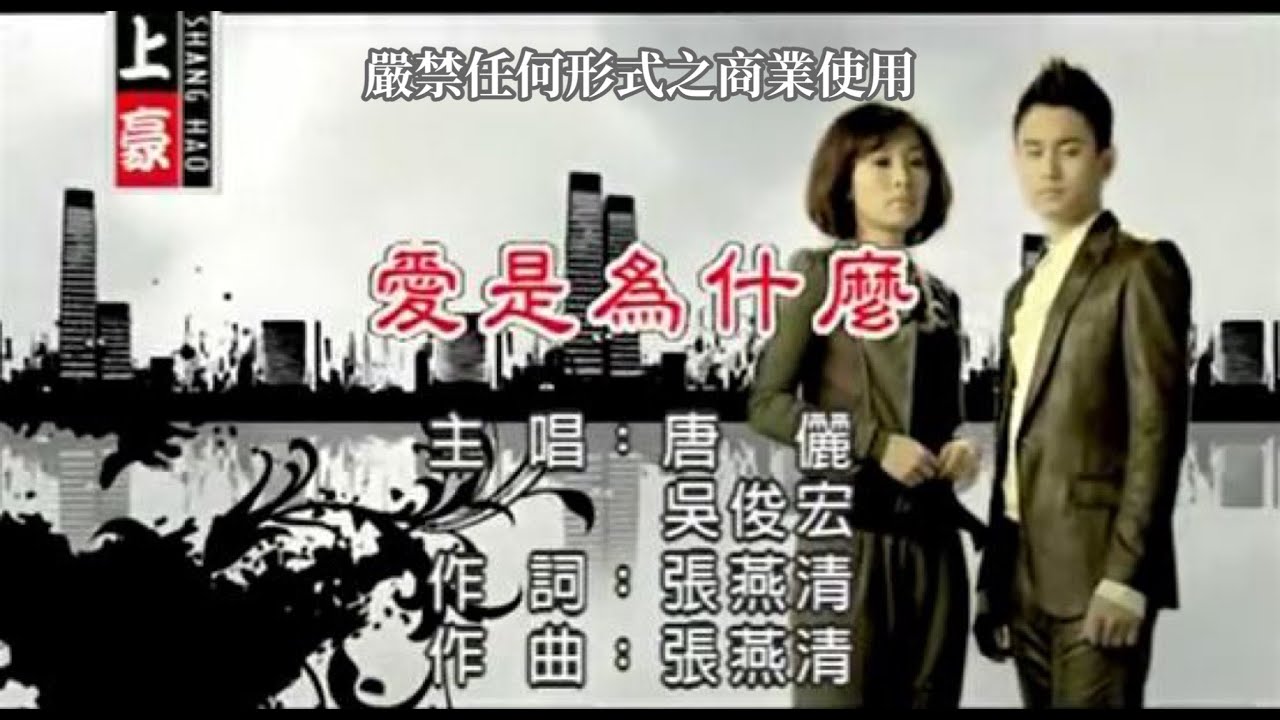 吳俊宏VS唐儷-愛是為什麼【KTV導唱字幕】