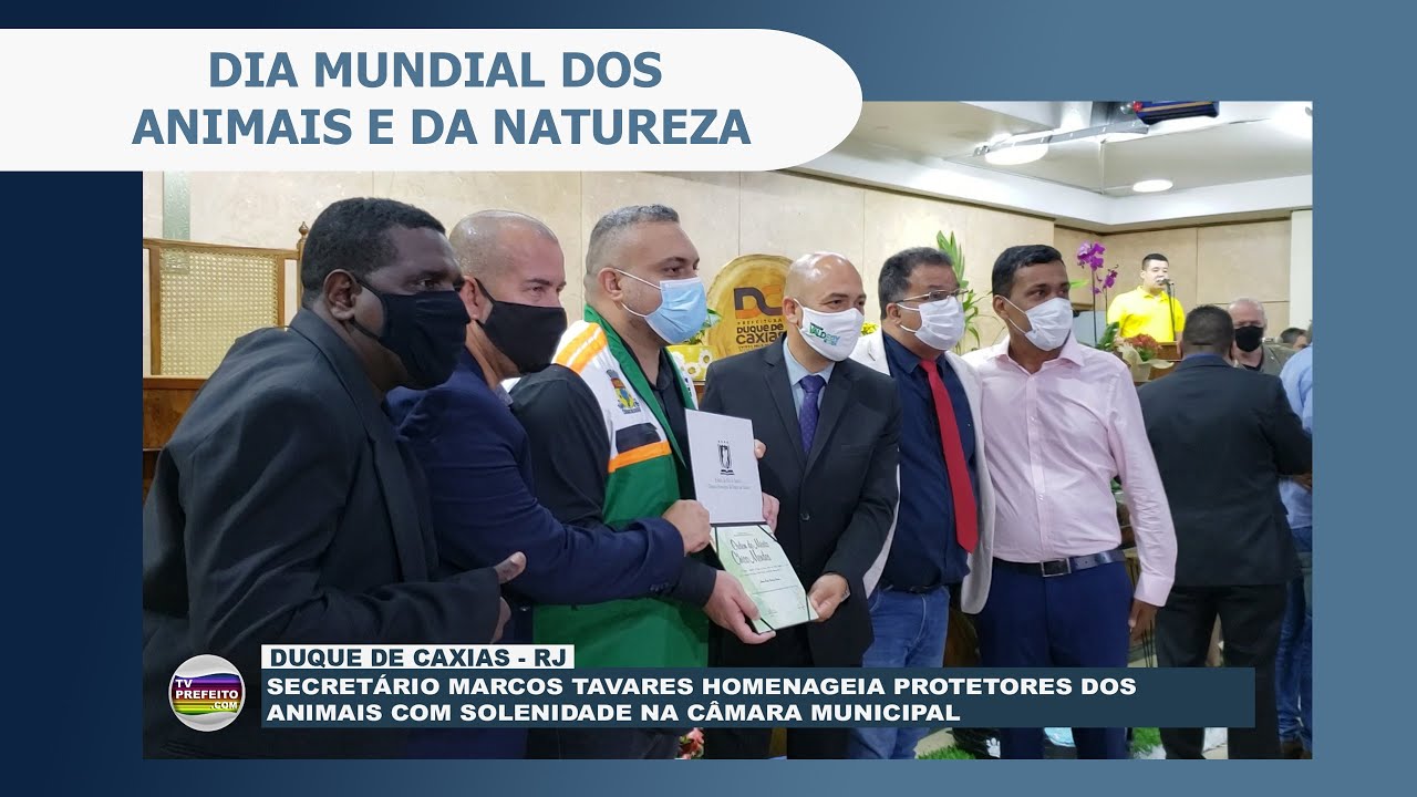Protetores dos animais são homenageados na Câmara Municipal de  Duque de Caxias