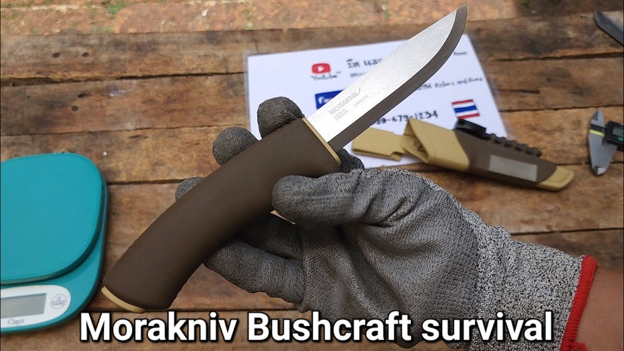 Morakniv Bushcraft Survival (S) มีดเดินป่า (ยืม)