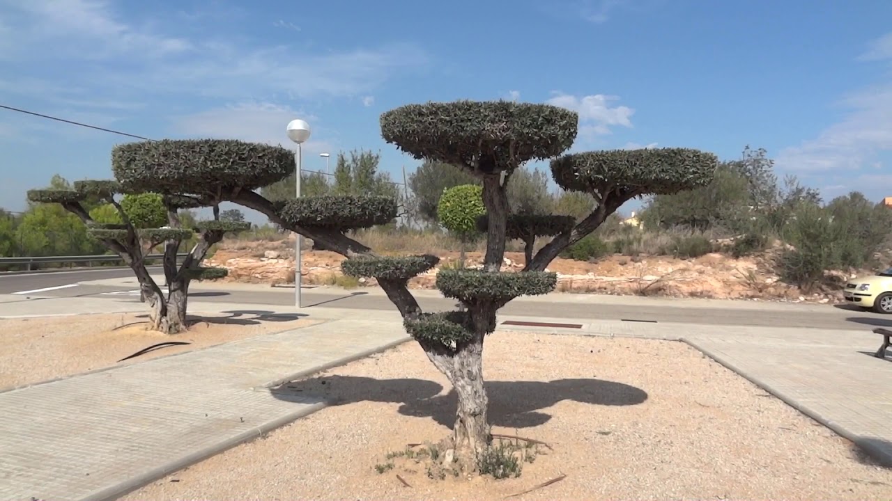 3. 2017 L'AMPOLLA, Spain. Part I