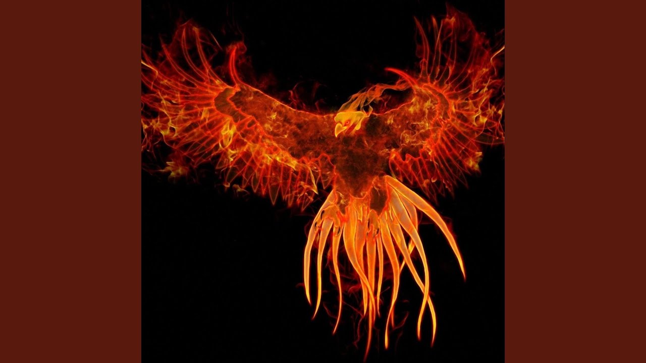 Ave Fenix