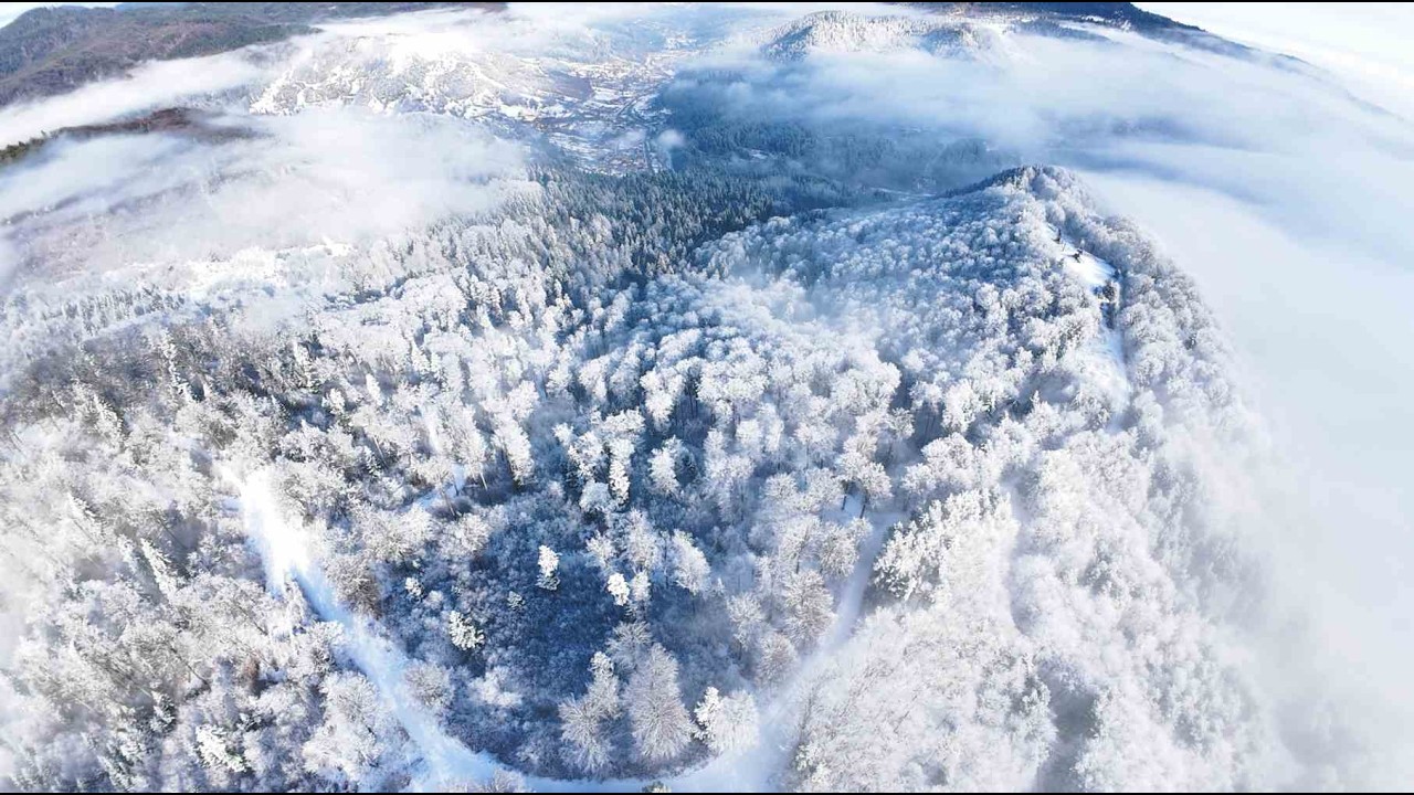 Frozen in time
