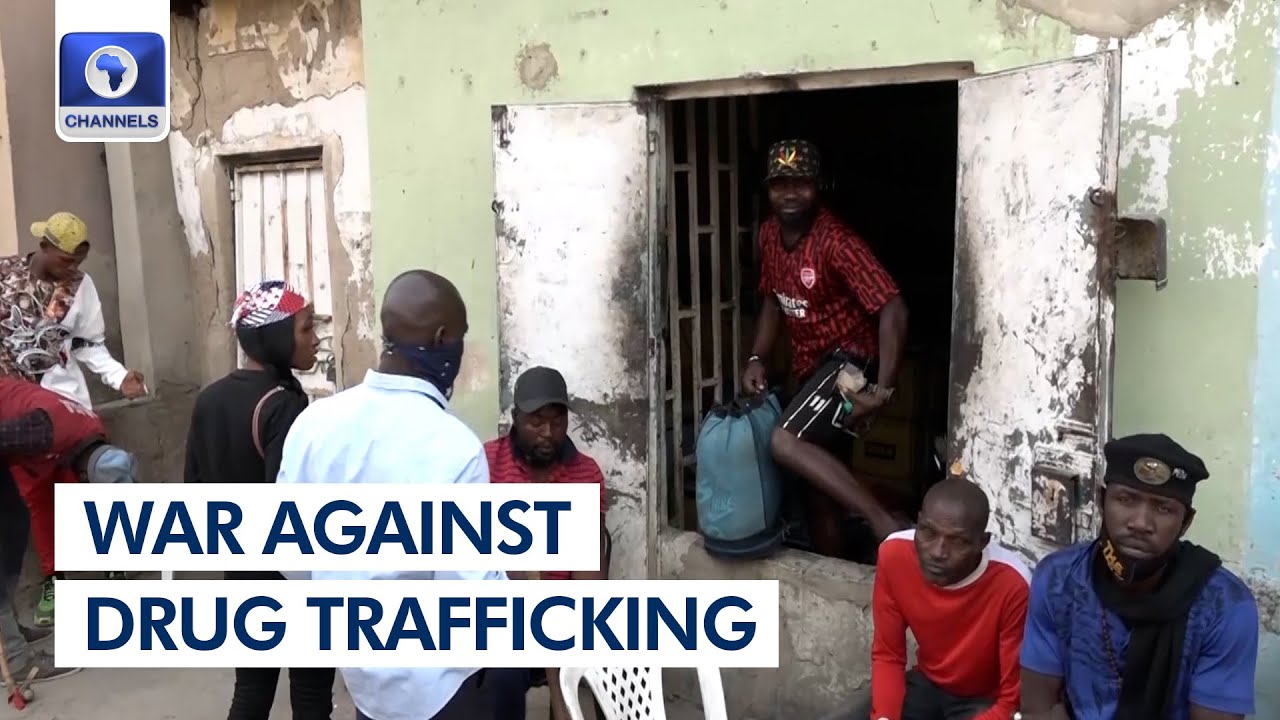 NDLEA Arrests 600 Suspects In Kano