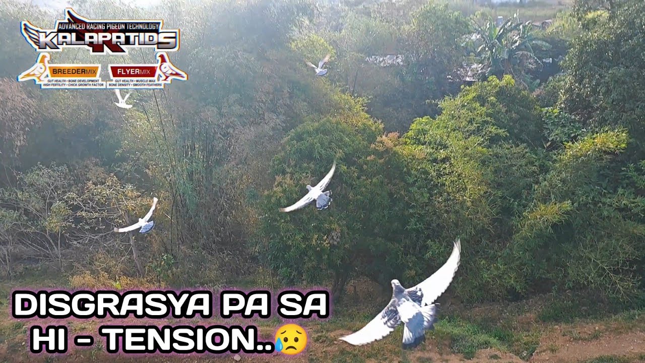 DISGRASYA PA SA HI - TENSION..😥