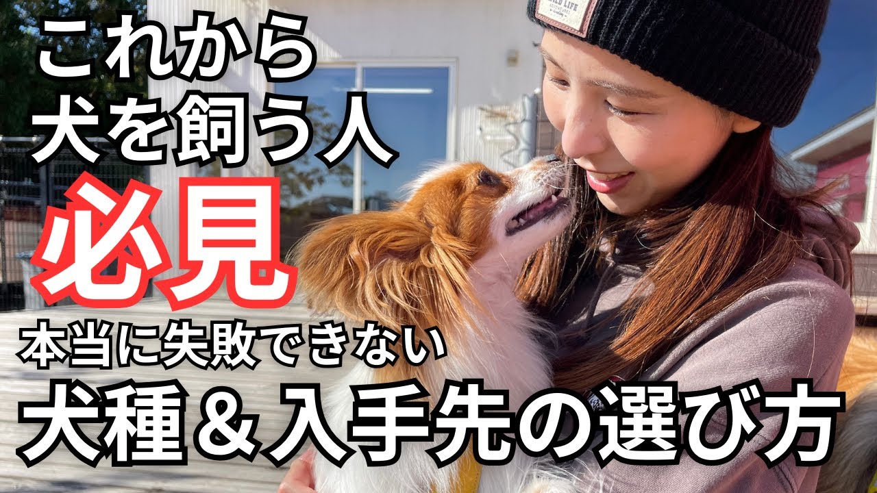 これから犬を飼う人へ！絶対に失敗して欲しくない犬種と入手先選びについてお話しします