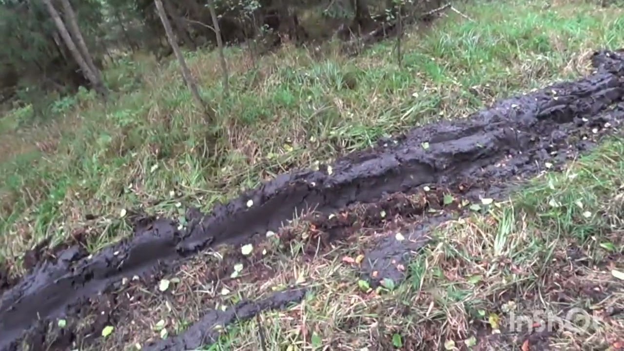 Охота с гончей 27 сентября 2025г.