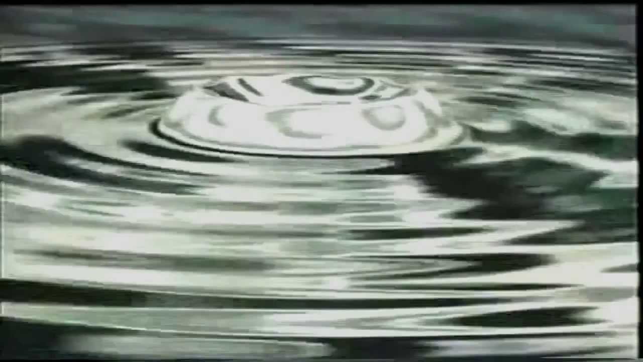 INDECORUM ➮➫➬➭ WALK WITH ME  ♒☹Official Music Video☹♒