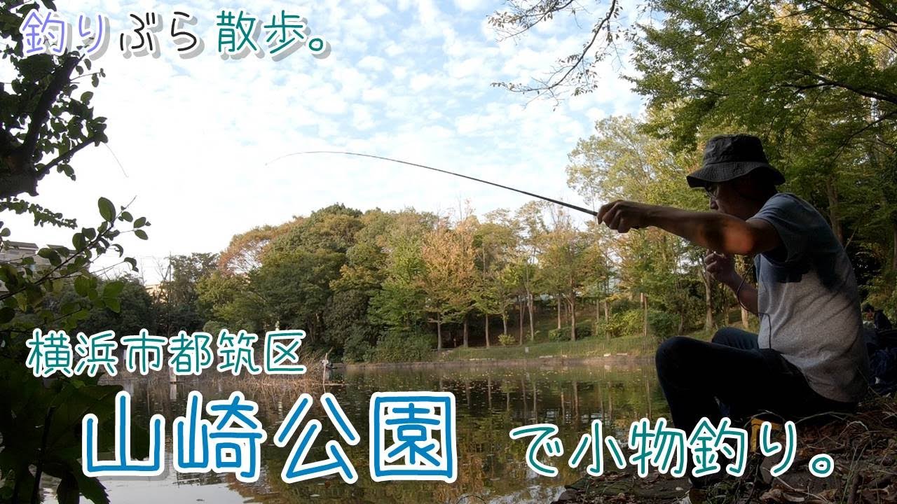 【小物釣り】色々釣れる横浜市都筑区 山崎公園で小物釣り。【淡水】