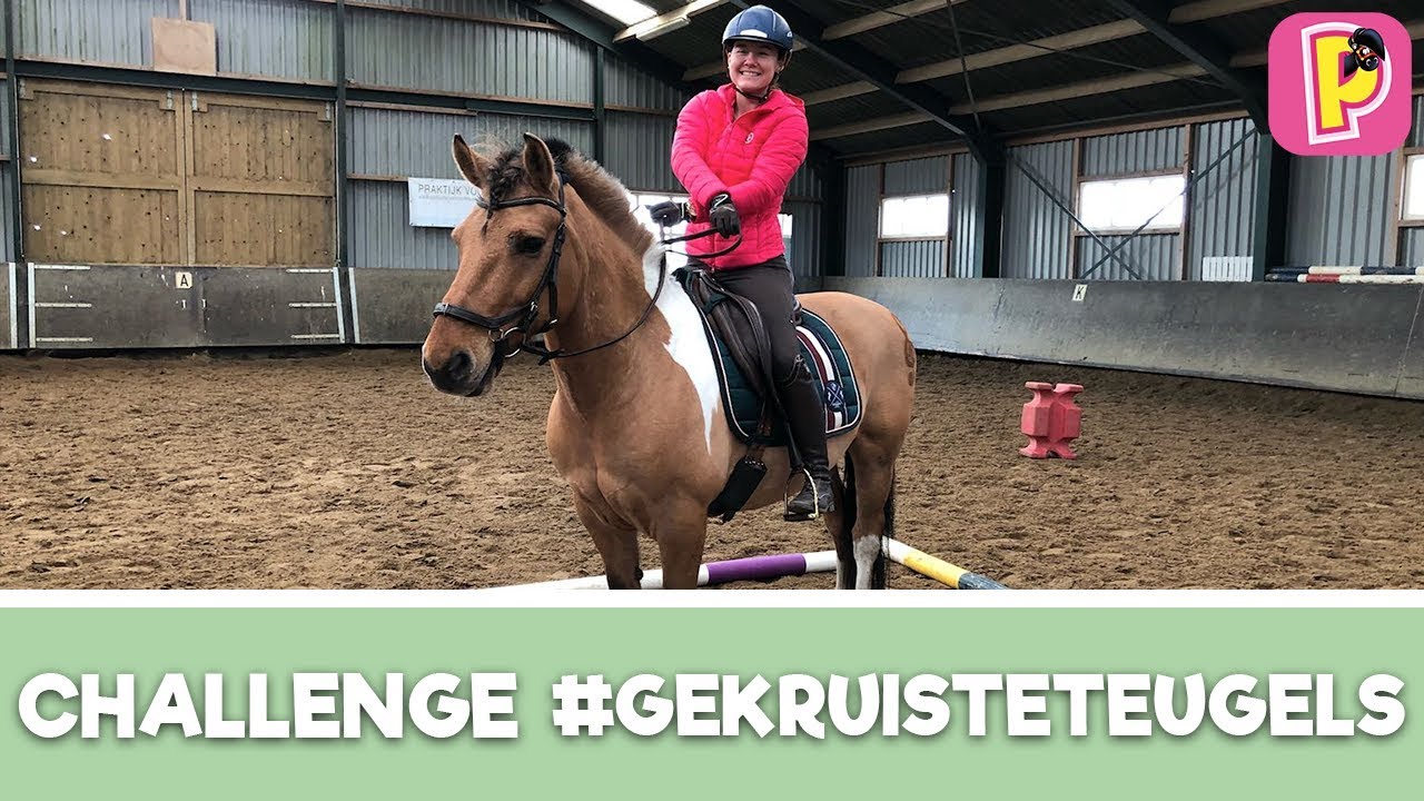 Rijden met gekruiste teugels | CHALLENGE | PennyTV