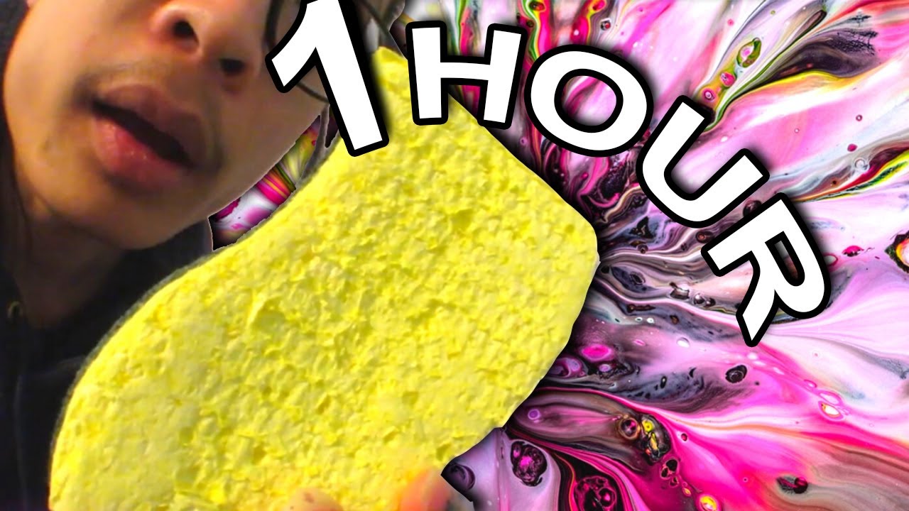 ASMR 1 HOUR Sponge Scratching & Tapping