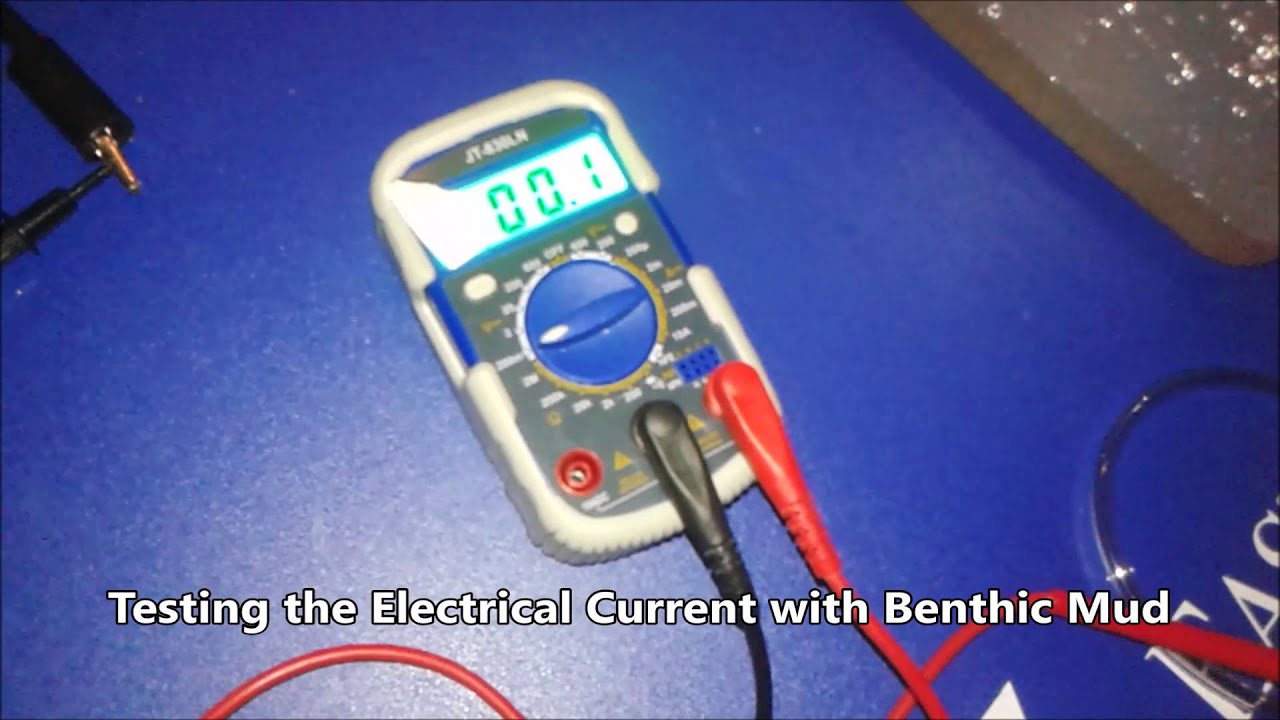 Microbial Fuel Cell Construction
