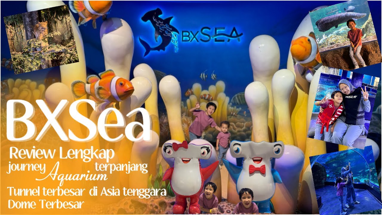 BXSEA BINTARO | BX SEA WISATA AQUARIUM TERBESAR DI TANGERANG SELATAN | BINTARO XCHANGE MALL 2