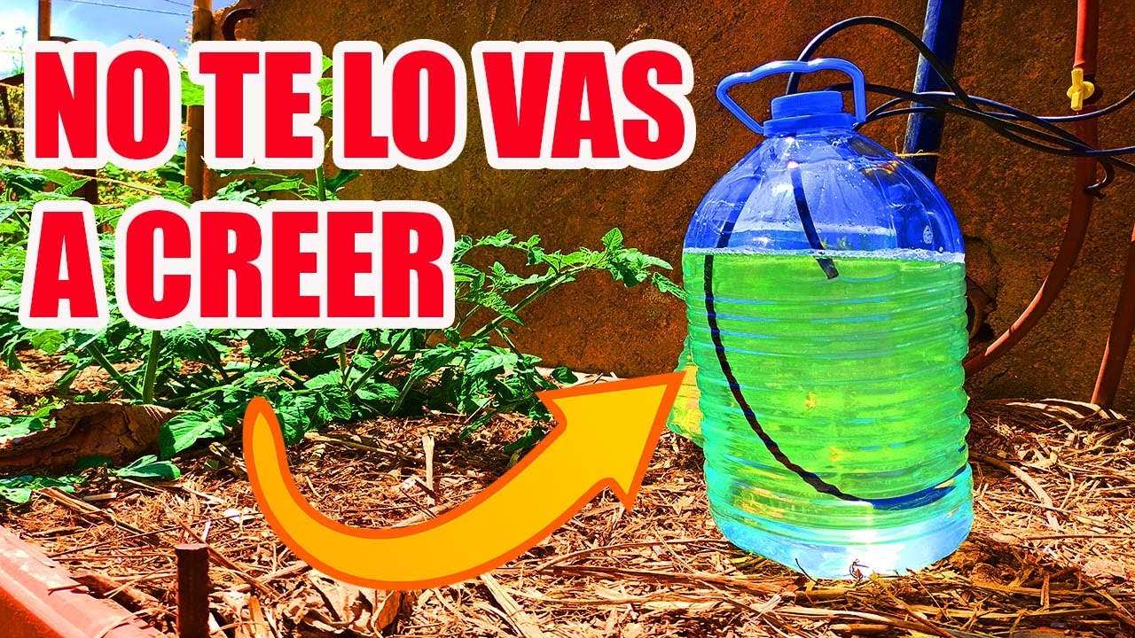MEJORA tus CULTIVOS Con Este SISTEMA de ABONADO ECONOMICO ( EFECTO VENTURI CASERO )