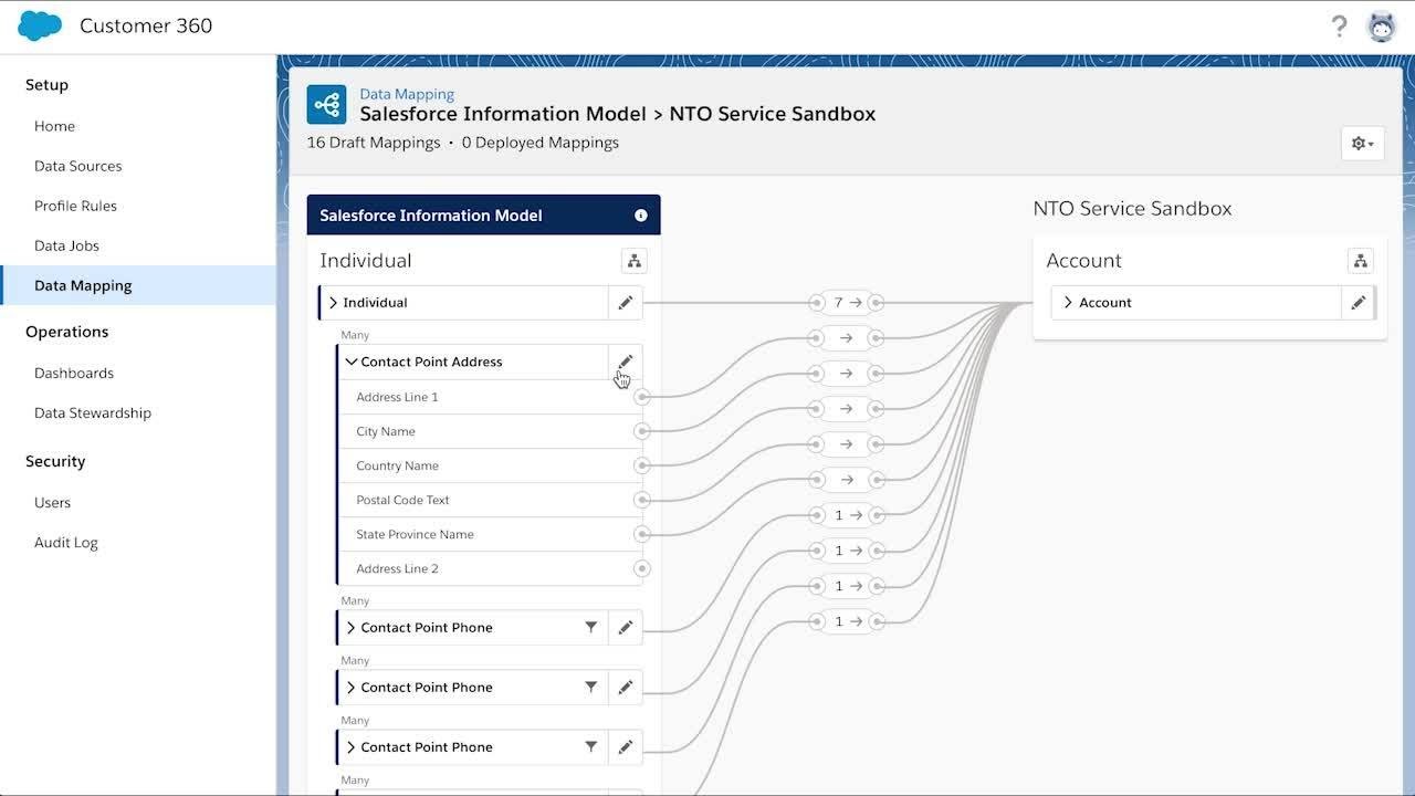 Customer 360 Data Manager