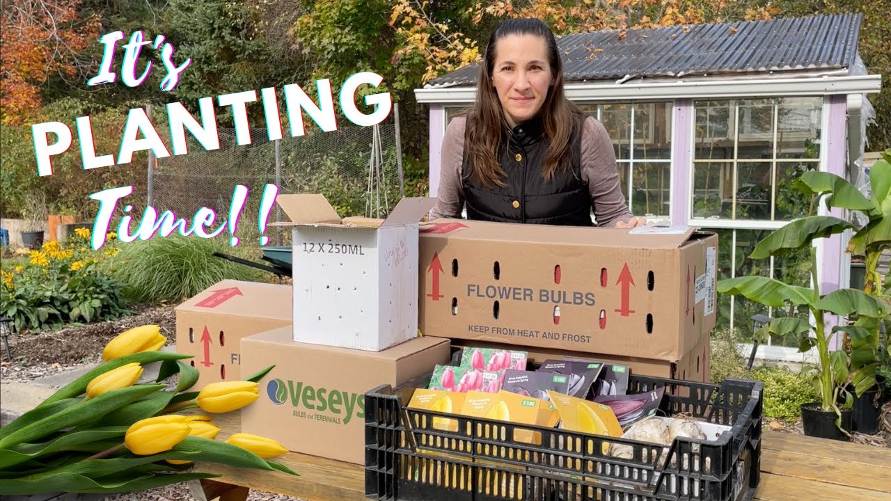 Planting 1000+ Tulips!🌷 A BIG Problem Unboxing my First Wholesale order!