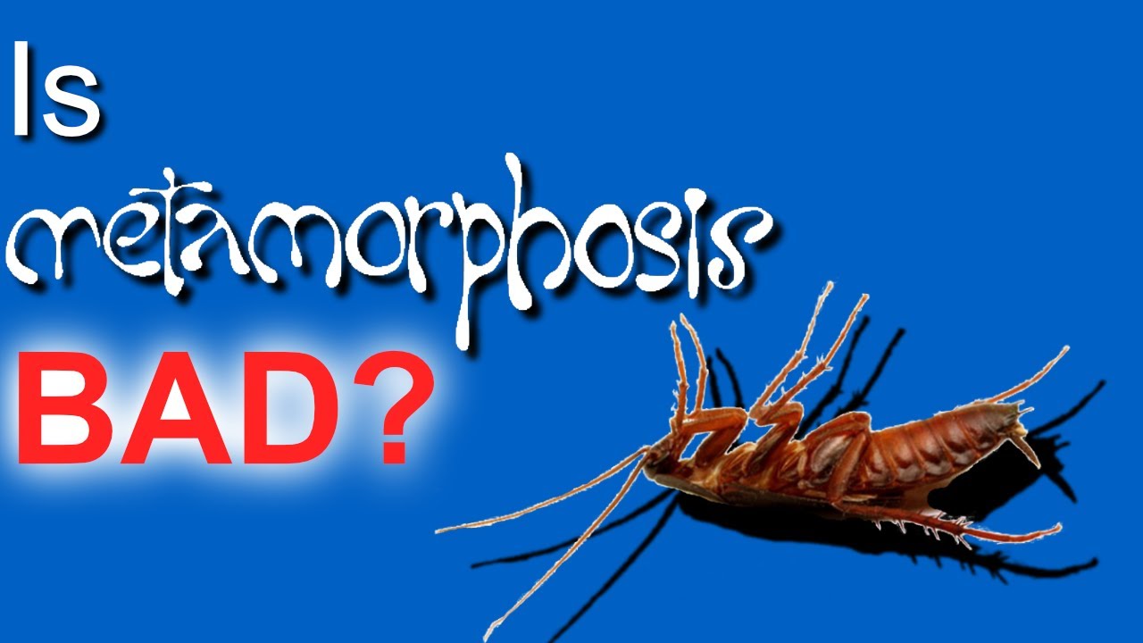 Is Metamorphosis a Good Game? Metamorphosis PC Review