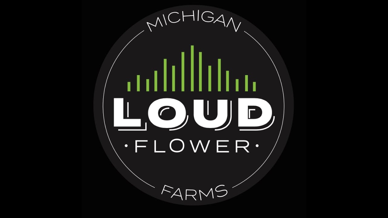 OGKB 2 1 from MICHIGAN LOUD FLOWER FARMS STRAIN REVIEW #HIGHTIMESCANNABISCUP ENTRY