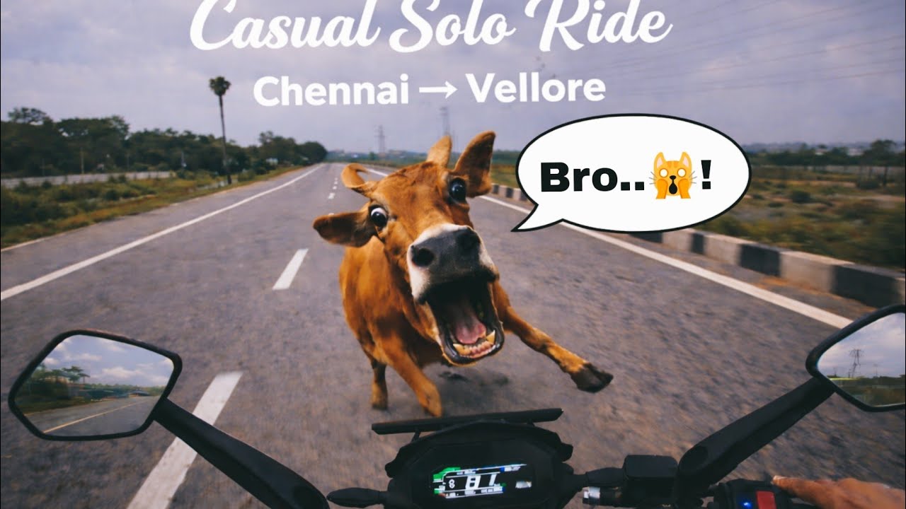 This Ride Took Me Back to My College Days 🏍️ | Solo Bike Ride | Chennai → Vellore
