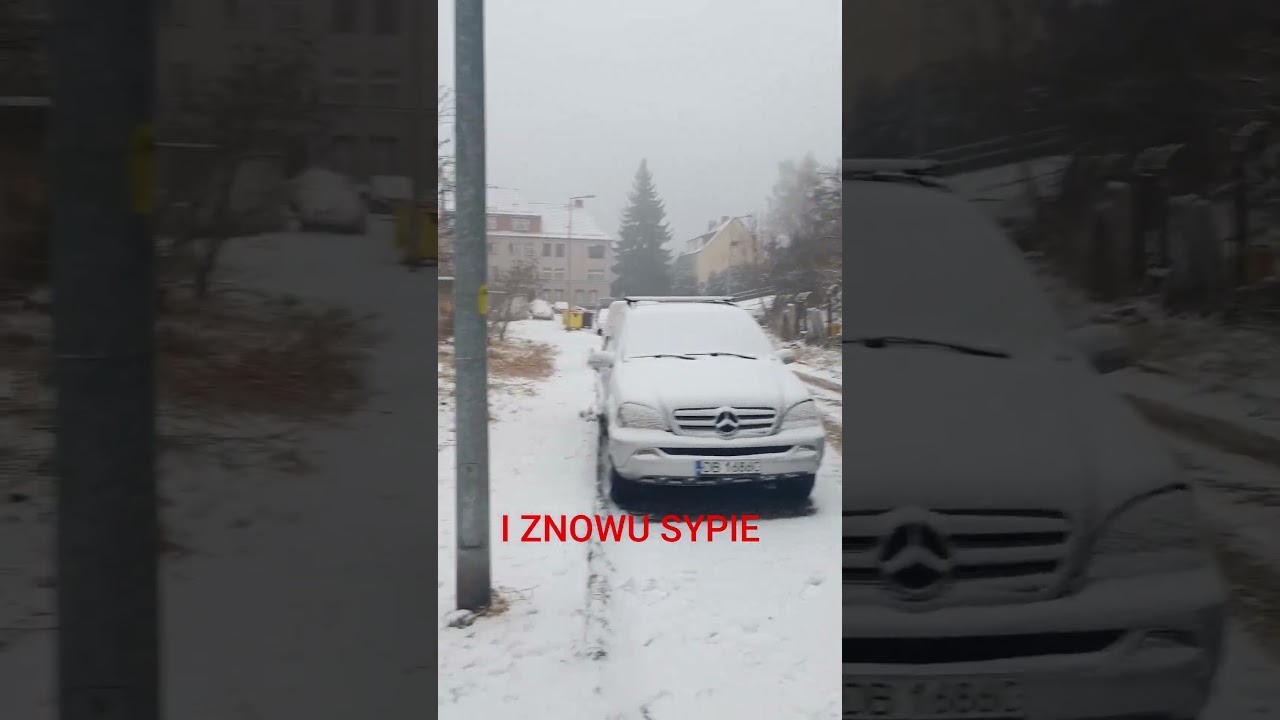 Powrót zimy , narazie lekko posypało