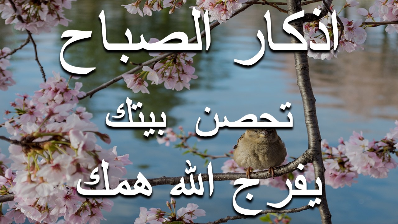 اذكار الصباح بصوت يريح قلبك راحه نفسيه💚حصن نفسك وبيتك من الشيطان علاء عقل Morning adhkar
