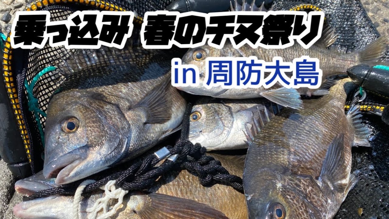 乗っ込み 春のチヌ祭り in周防大島 2022年5月 黒鯛道場 vol.7