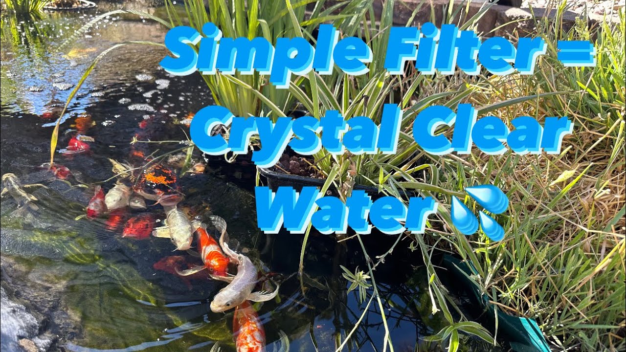 Simplest of Pond Filters = Crystal Clear Water 💦💦💦