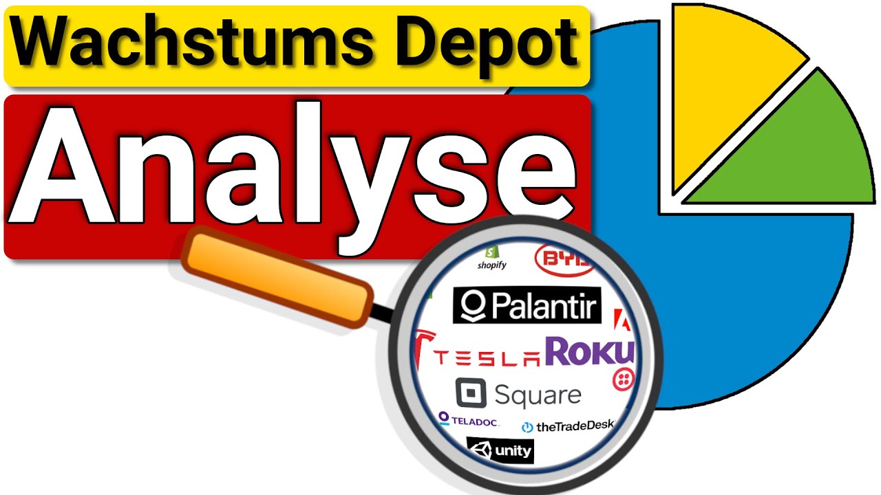 🔎 Aktien Depot Analyse | Palantir , Roku , BYD , Teladoc , ...