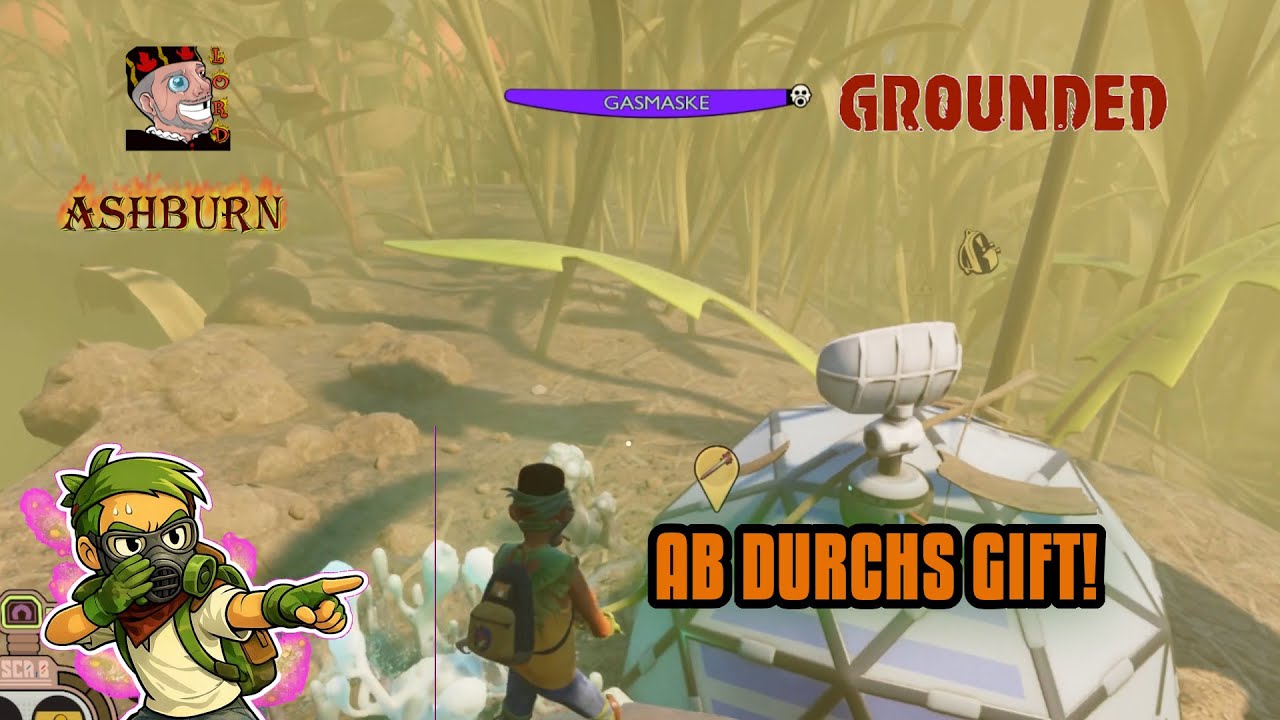 Grounded Deutsch |  Orientierungslos aber erfolgreich  SuperChip Suche scheiter 