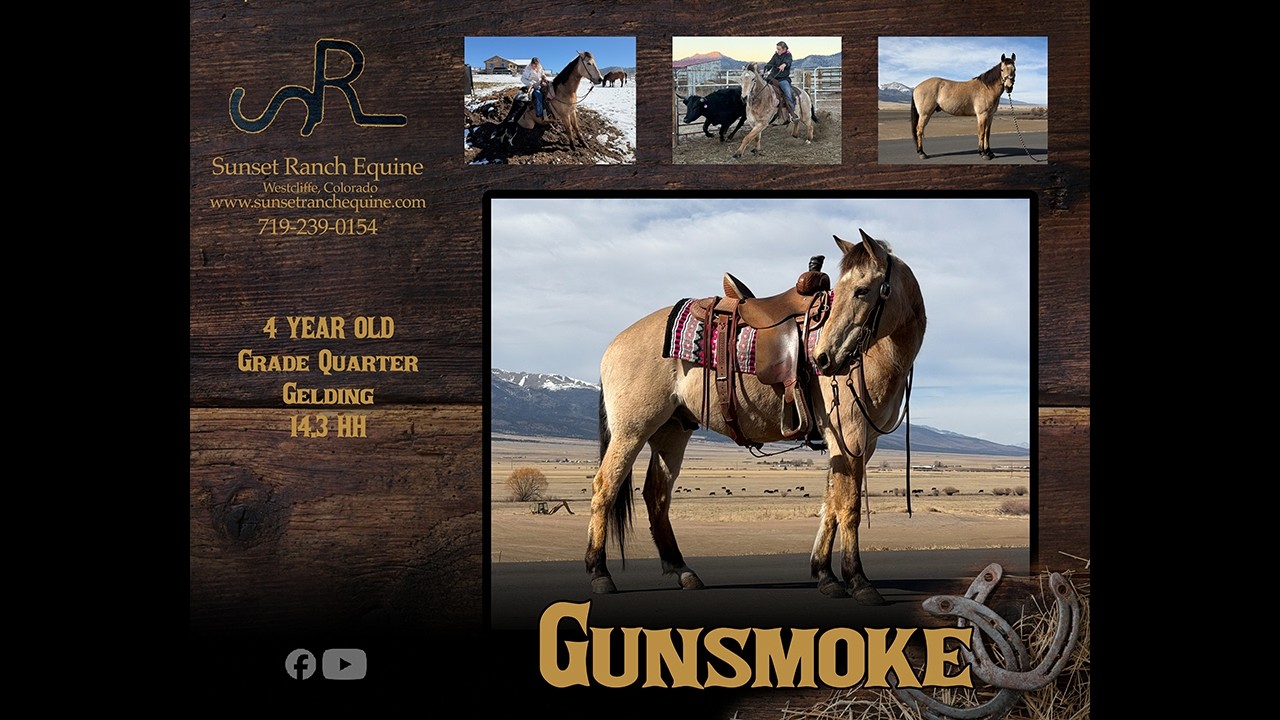 Gunsmoke