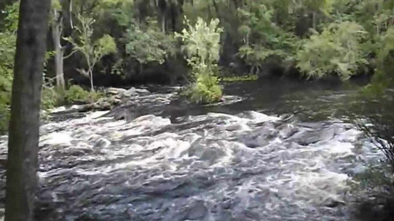 Hillsborough River Rapids at Flood Stage     #267