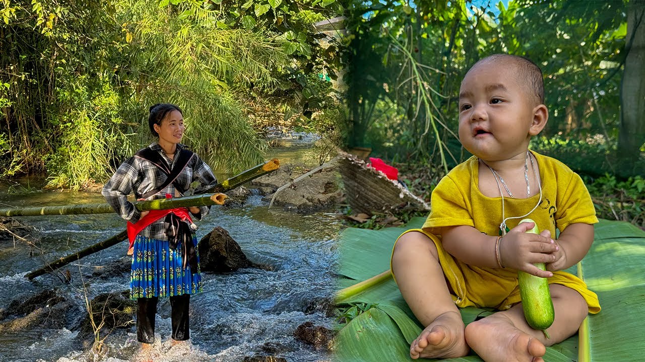 17 year-old Single Mom & child cut woods , harvests cucumbers to sell the market | Le Trang Thuy