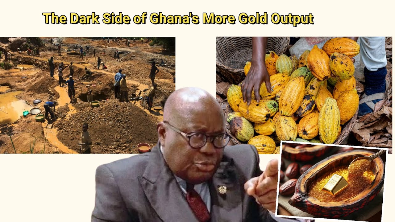 As Ghana is Cashing in on Gold Revenue, Cocoa Production and supply has declined (THIS IS WHY)