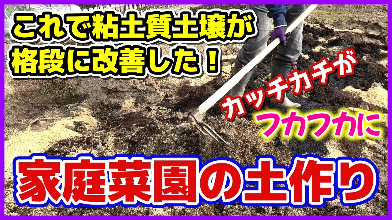 カチカチの粘土質土壌がフカフカになる土作り（カチカチだった時の写真も出ます）家庭菜園の土づくり／もみ殻と米ぬかの使い方／連作障害対策／貸し農園