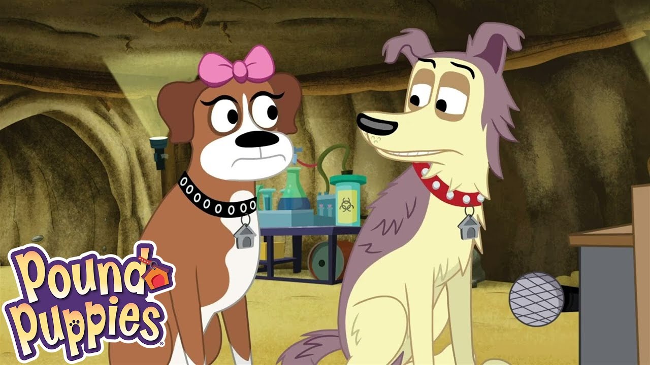 Pound Puppies | The Call of The Squirreldog | COMPILATION | Season 1 | Pet Cartoon