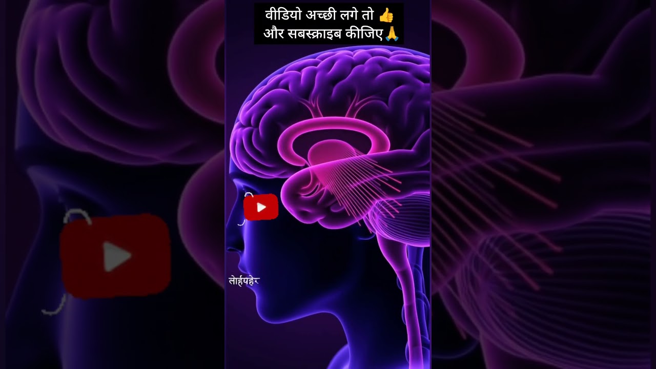 Ai से समझते हैं कि प्यास पानी से क्यों बुझती है