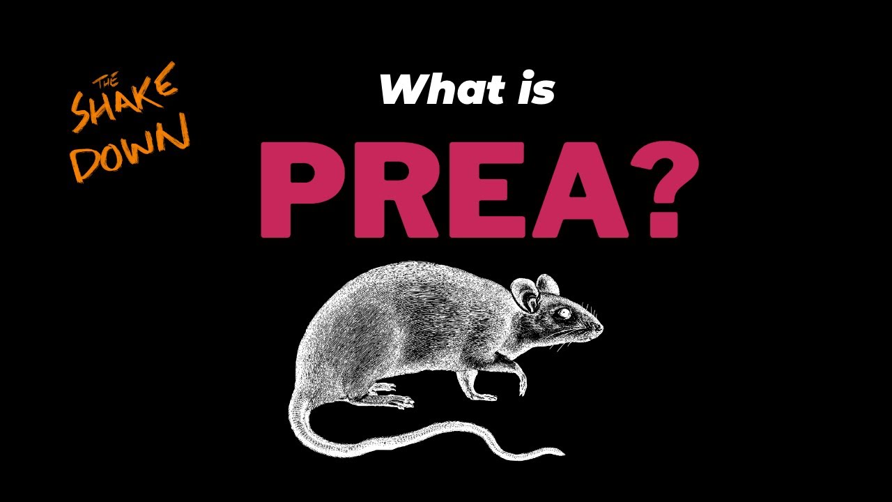 The Shakedown - What is PREA?