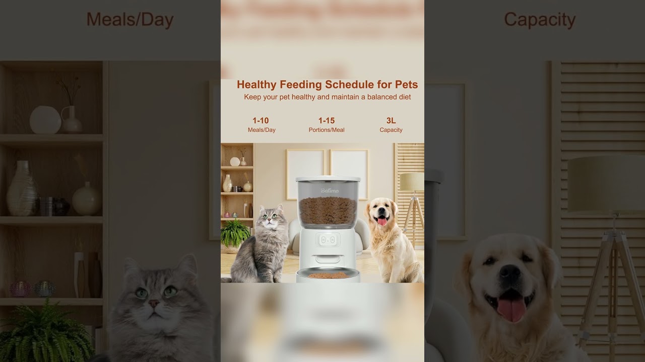 Balimo Distributeur Croquettes Chat Automatique 3L 🐾 WiFi & Programmable jusqu&rsquo;&agrave; 10 Repas