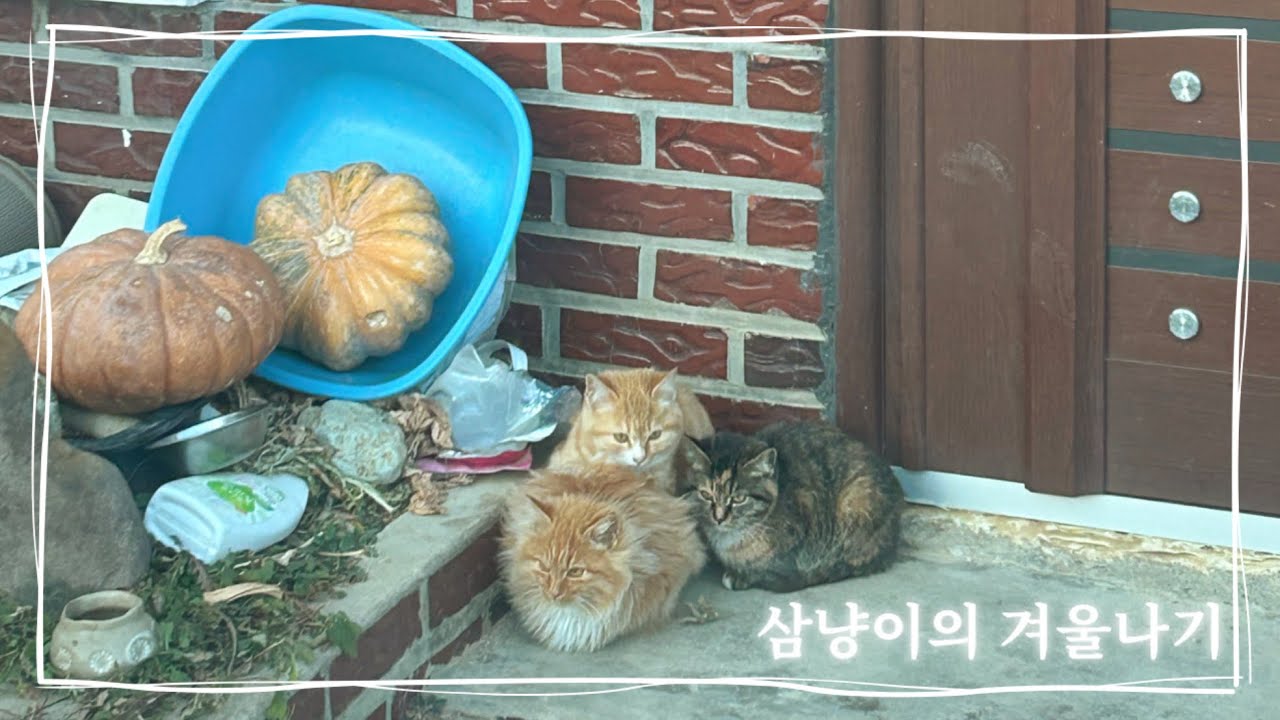 아귀여워..복실복실 겨울☃️