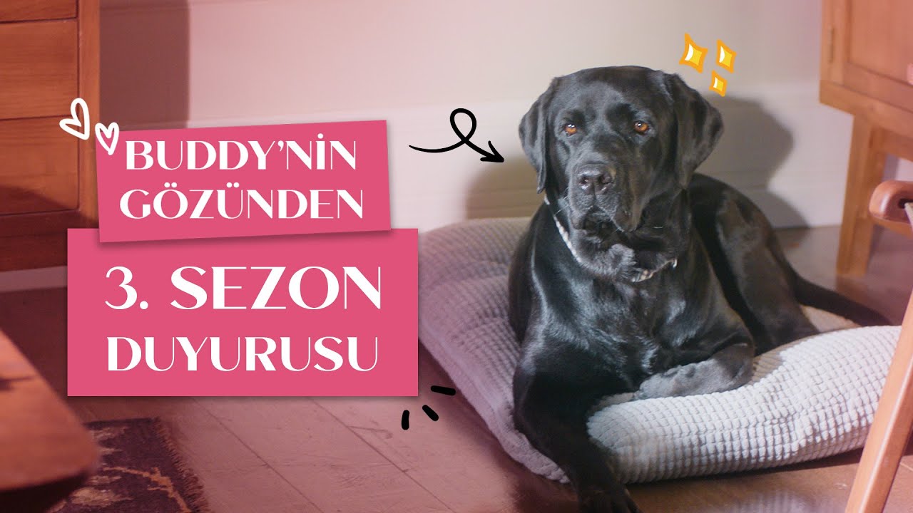 Kimler Geldi Kimler Geçti | 3. Sezon Duyurusu | Netflix