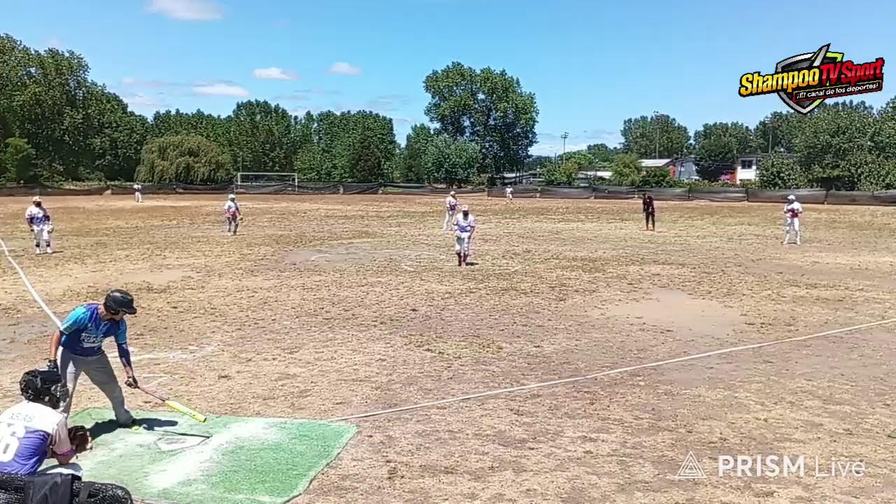 EN VIVO/FINAL 🥎/PETROLEROS 🆚 PANAS DEL SUR/ ShampooTVsport