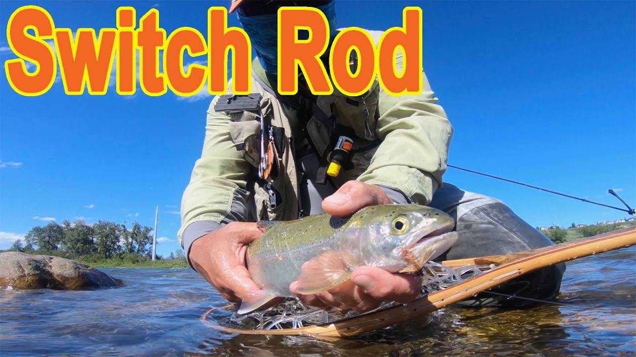 Switch Rod Streamer & Dry Fly Fishing